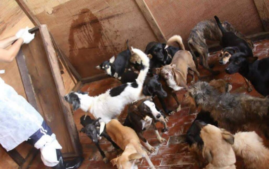 Rio Branco - AC - 2012