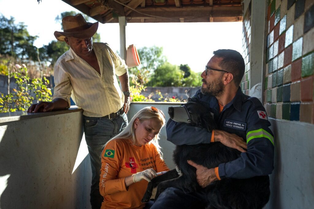 Quilombo-Mato-Dentro_11