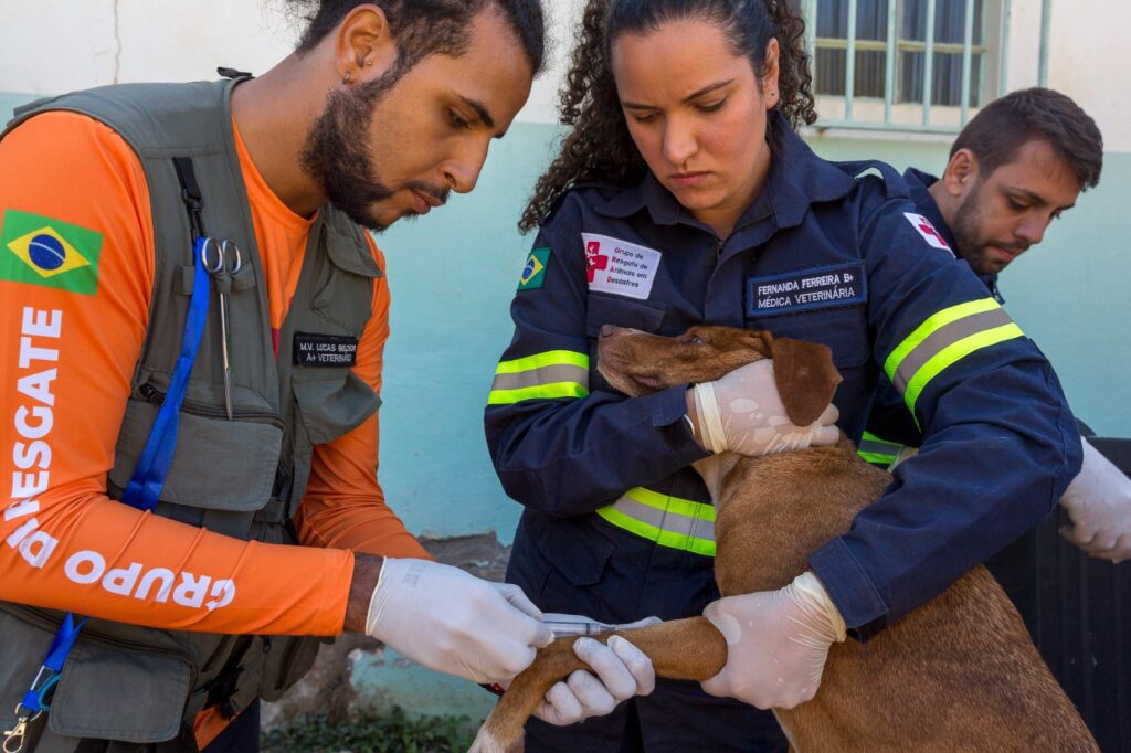 Quilombo-Mato-Dentro_5