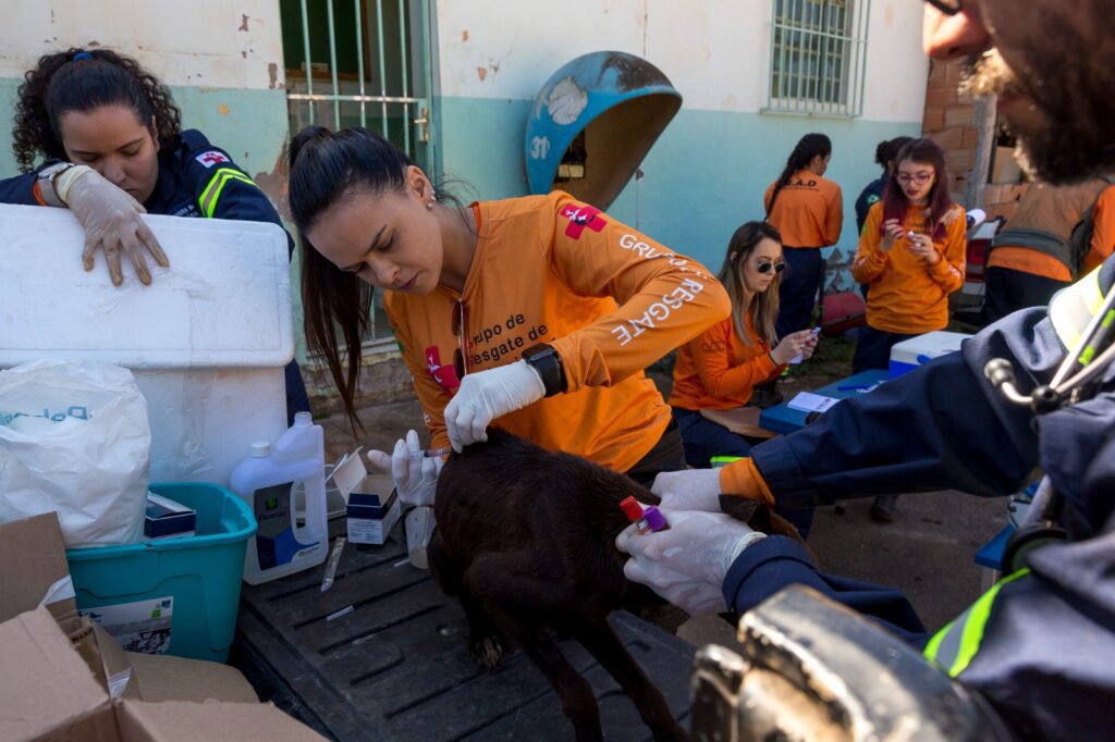 Quilombo-Mato-Dentro_6