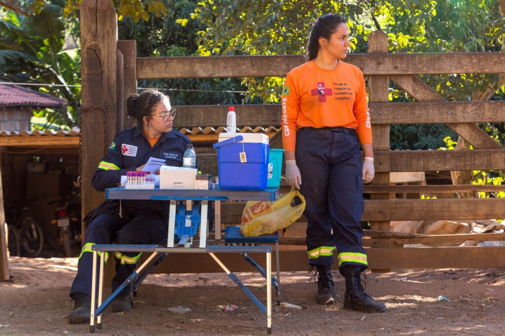 Quilombo-Mato-Dentro_8