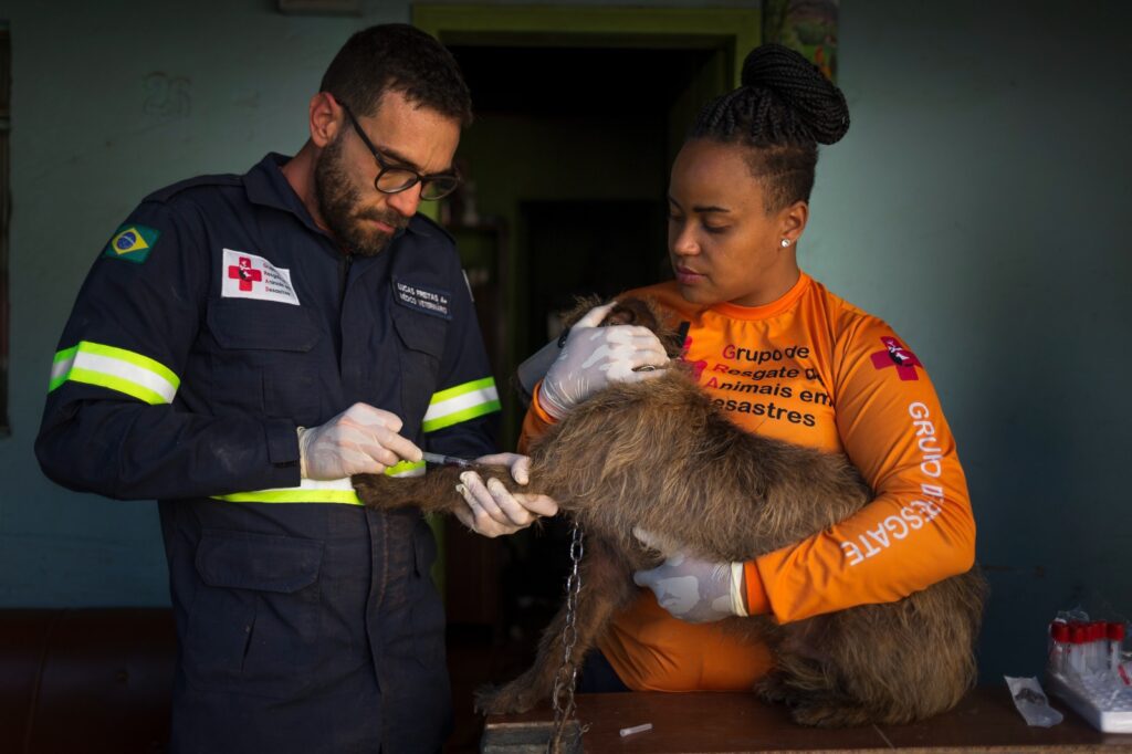 Quilombo-Mato-Dentro_9