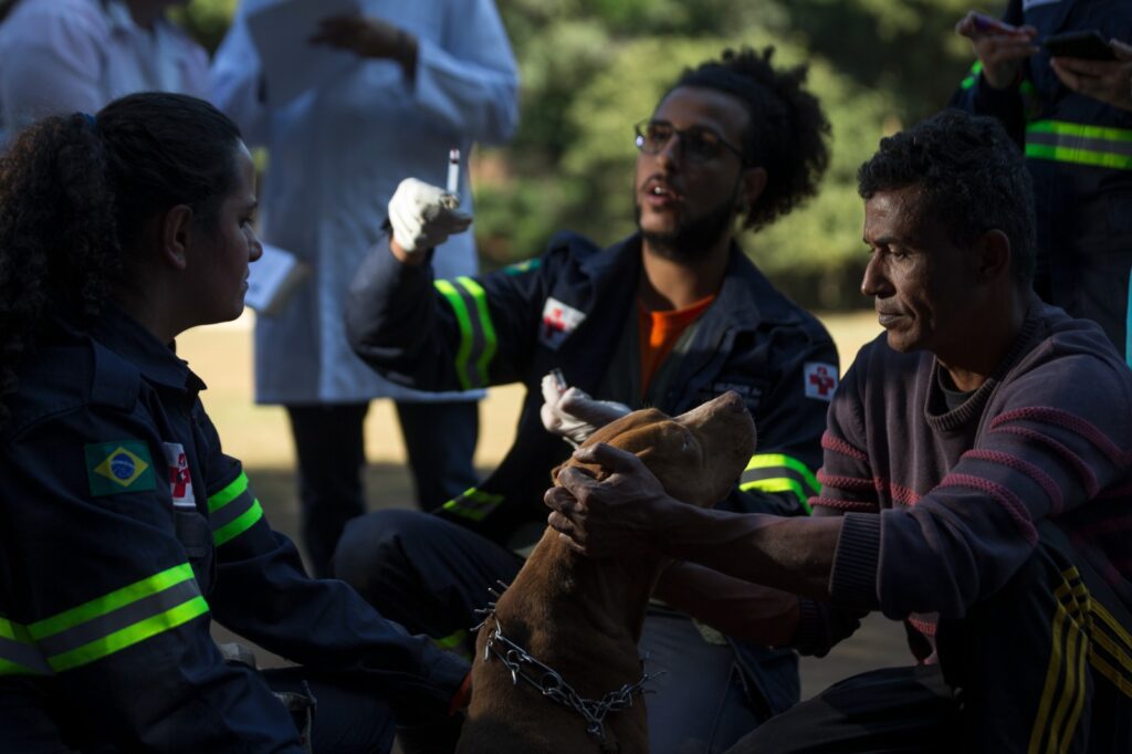 Aldeia Pataxó Hãhãhã 6