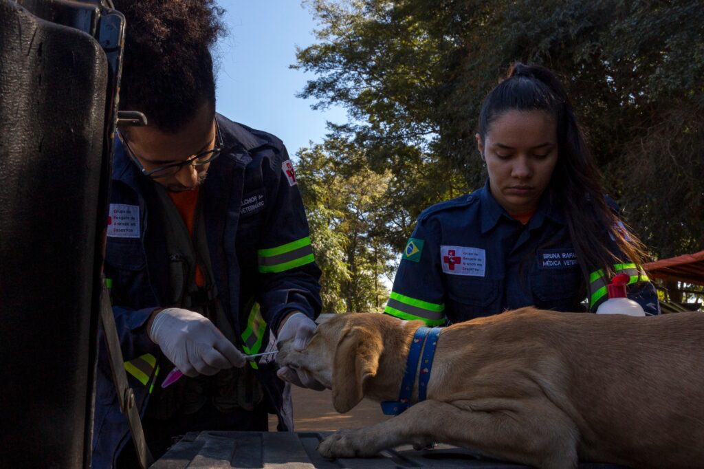 Aldeia Pataxó Hãhãhã 10