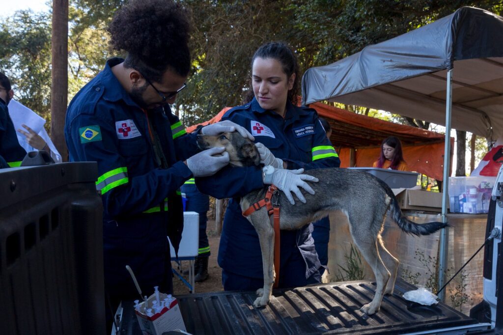 Aldeia Pataxó Hãhãhã 9