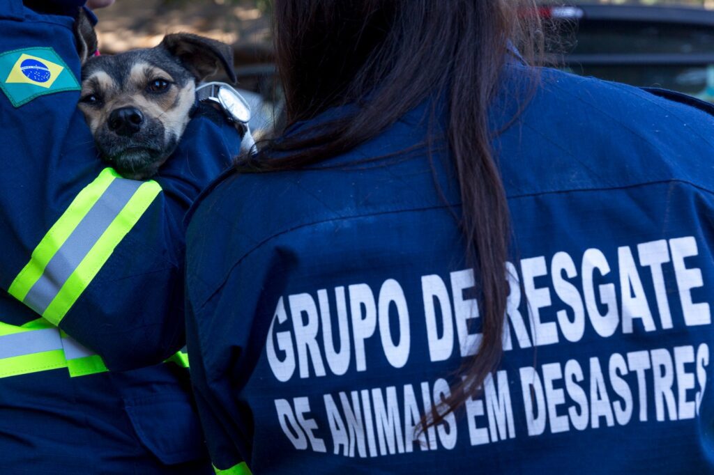 Aldeia Pataxó Hãhãhã 8