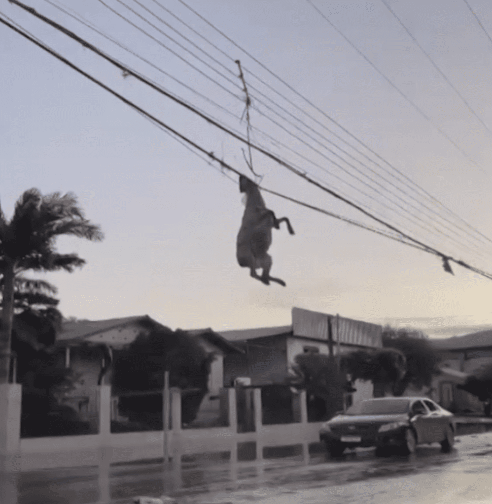 Screenshot 2023-09-06 at 12.00.35