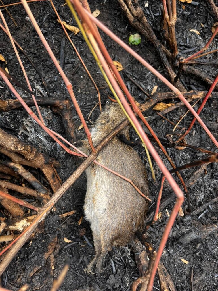 WhatsApp Image 2023-11-10 at 23.05.57