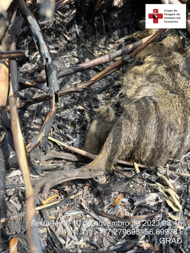 WhatsApp Image 2023-11-10 at 23.05.58 (3)