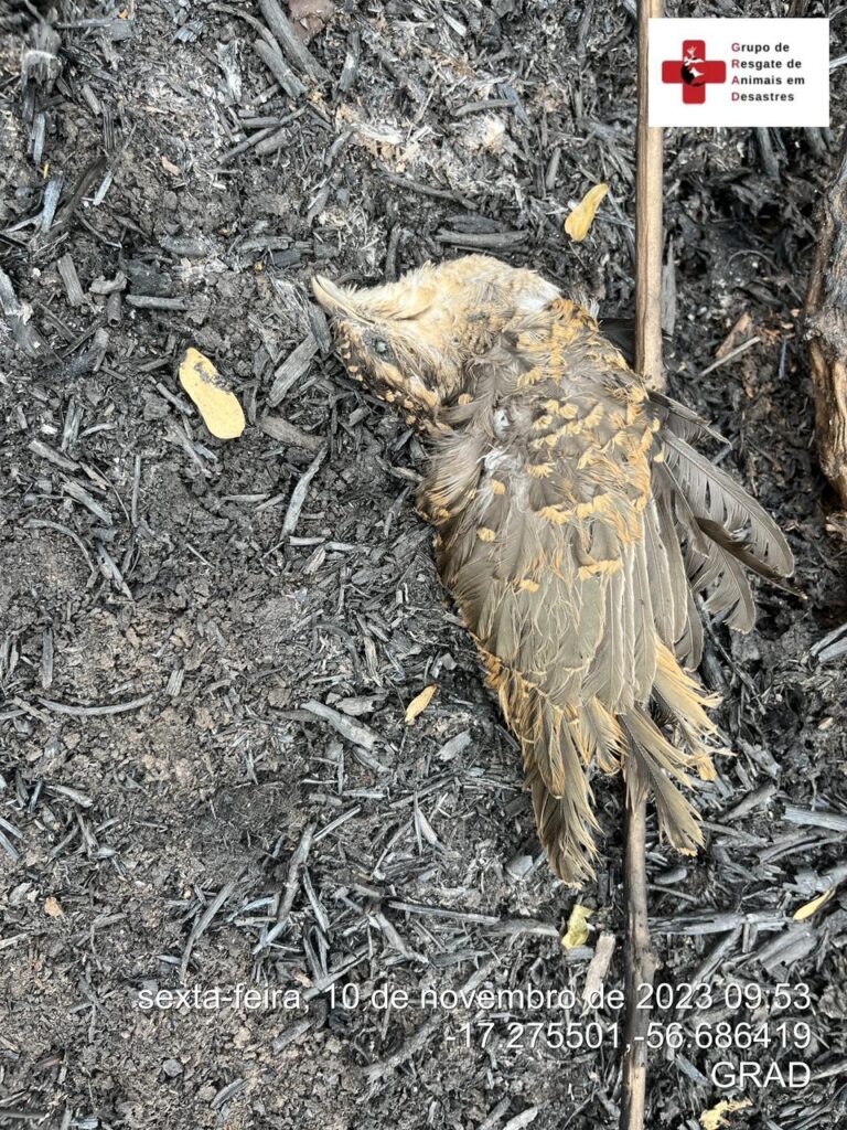 WhatsApp Image 2023-11-10 at 23.06.44 (1)