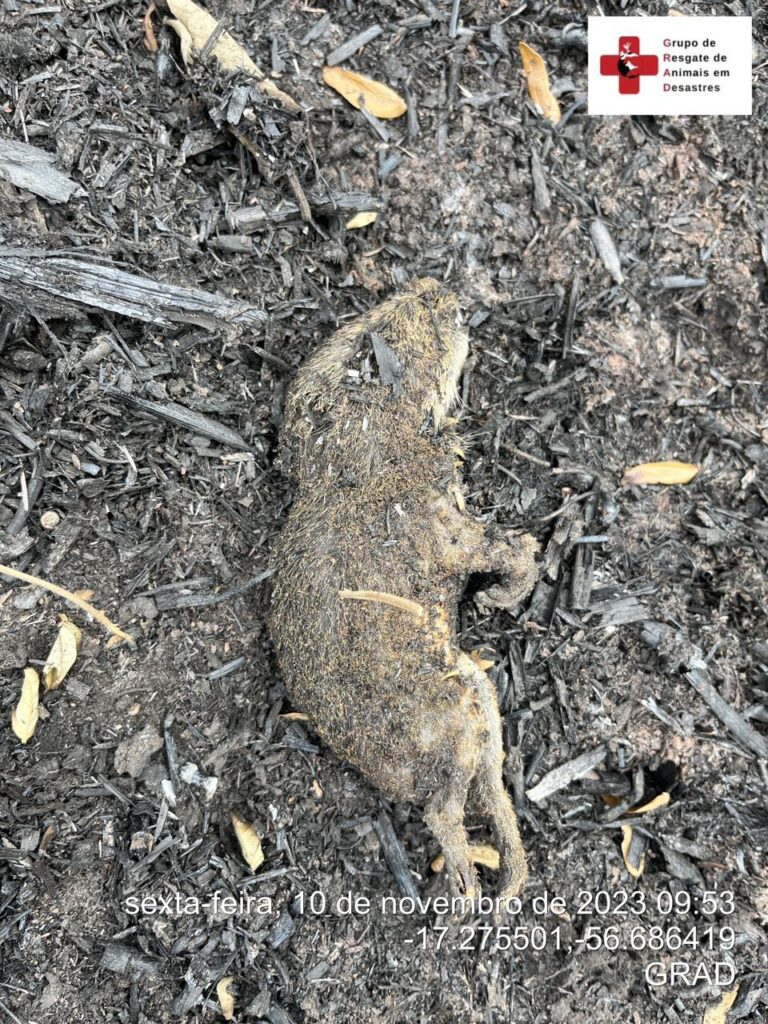 WhatsApp Image 2023-11-10 at 23.06.44 (2)