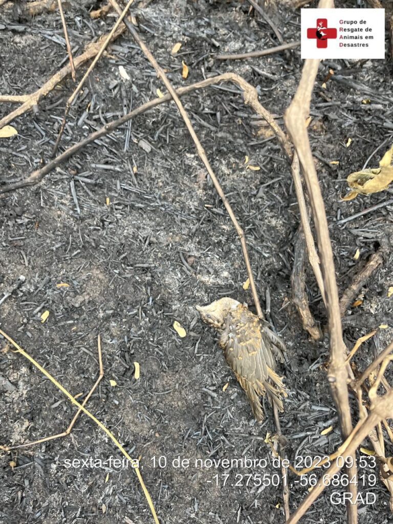 WhatsApp Image 2023-11-10 at 23.06.44