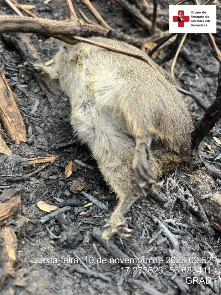 WhatsApp Image 2023-11-10 at 23.06.45 (2)