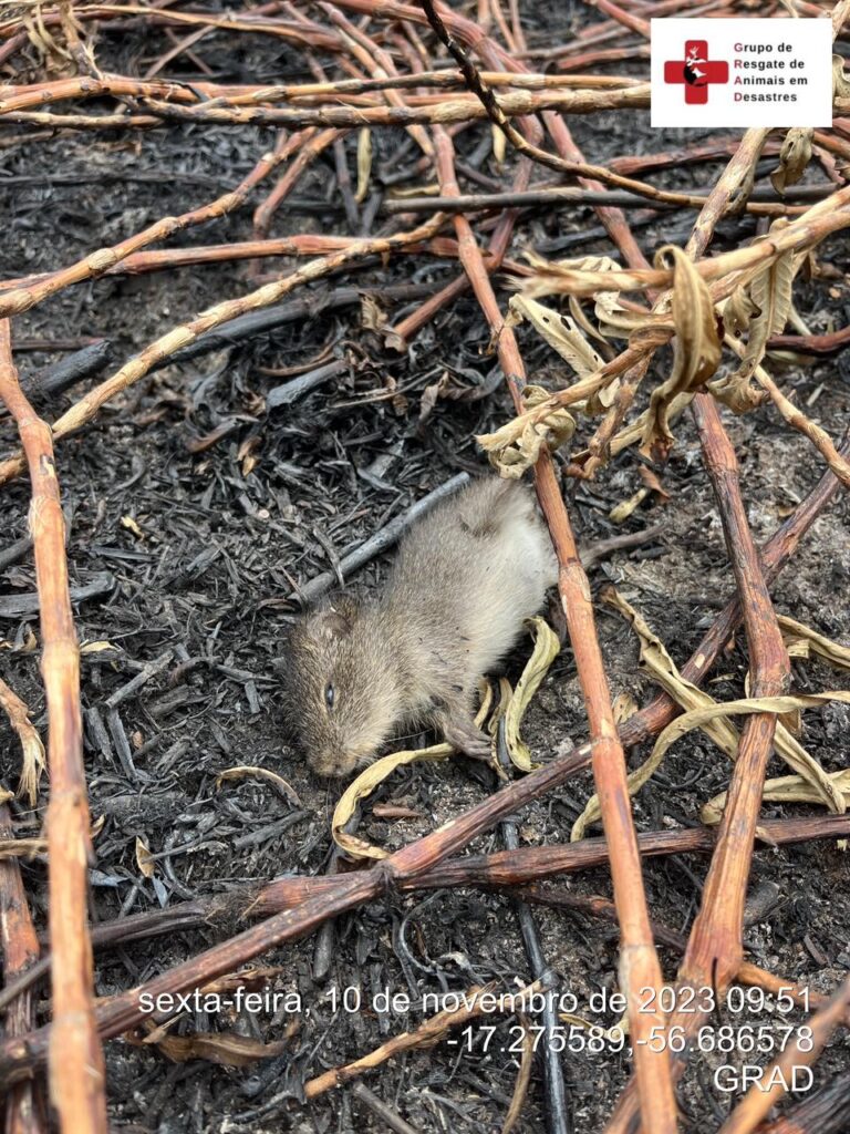 WhatsApp Image 2023-11-10 at 23.06.45 (3)