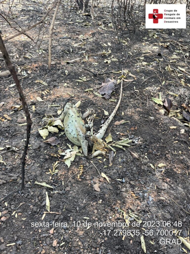 WhatsApp Image 2023-11-10 at 23.06.46 (1)