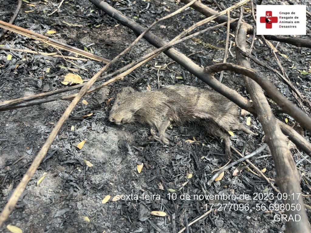 WhatsApp Image 2023-11-10 at 23.06.46 (2)