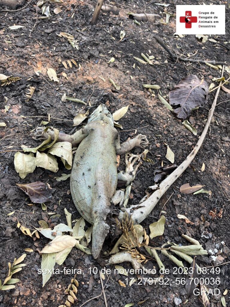 WhatsApp Image 2023-11-10 at 23.06.46