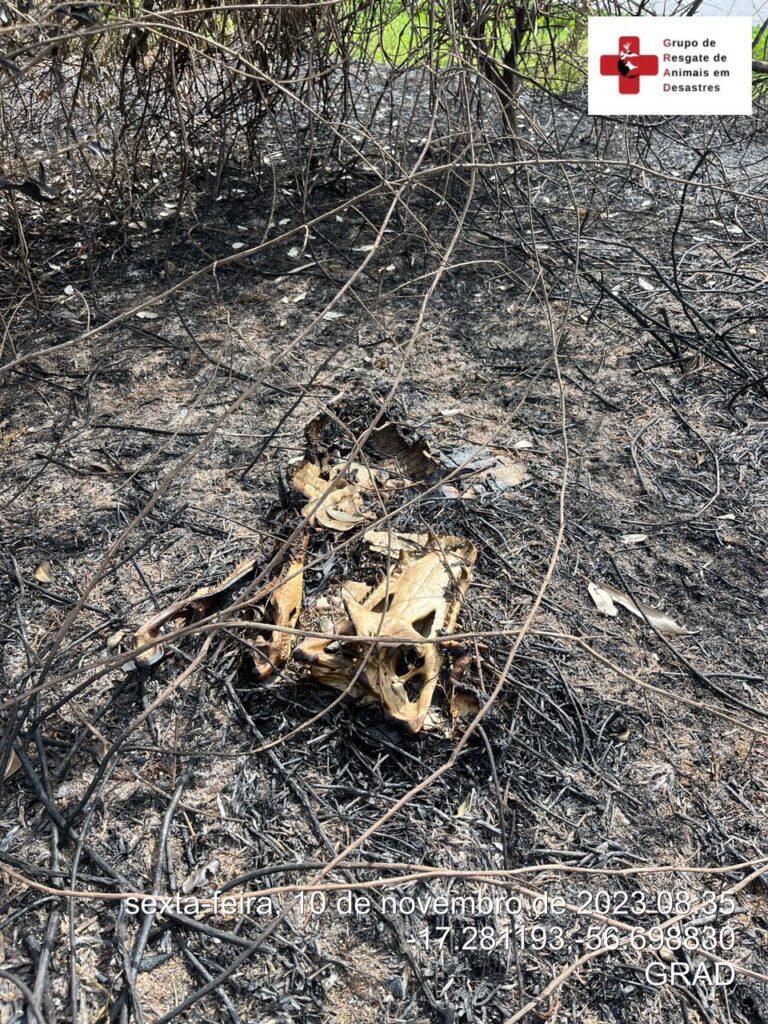 WhatsApp Image 2023-11-10 at 23.06.47 (1)