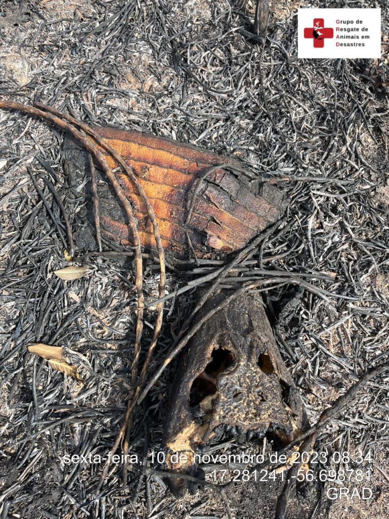 WhatsApp Image 2023-11-10 at 23.06.47 (2)