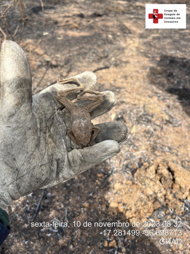 WhatsApp Image 2023-11-10 at 23.06.47 (3)