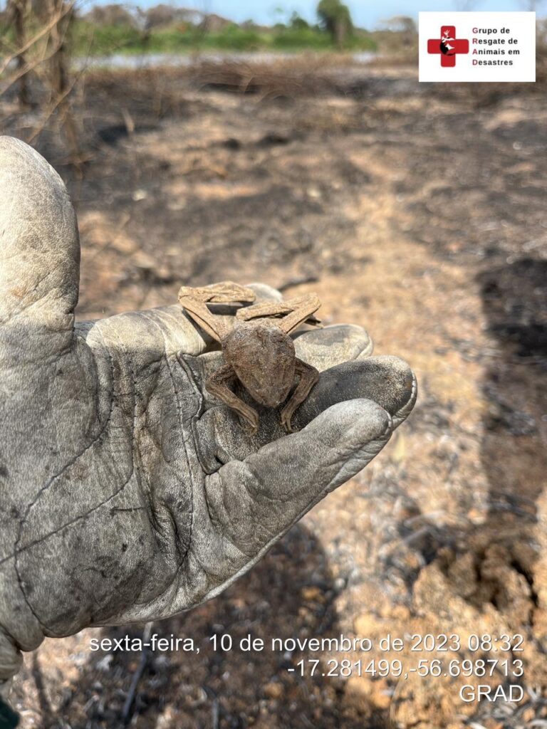 WhatsApp Image 2023-11-10 at 23.06.47 (4)