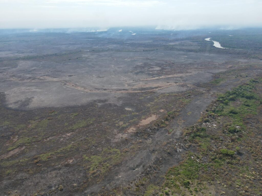 WhatsApp Image 2023-11-10 at 23.06.48 (1)