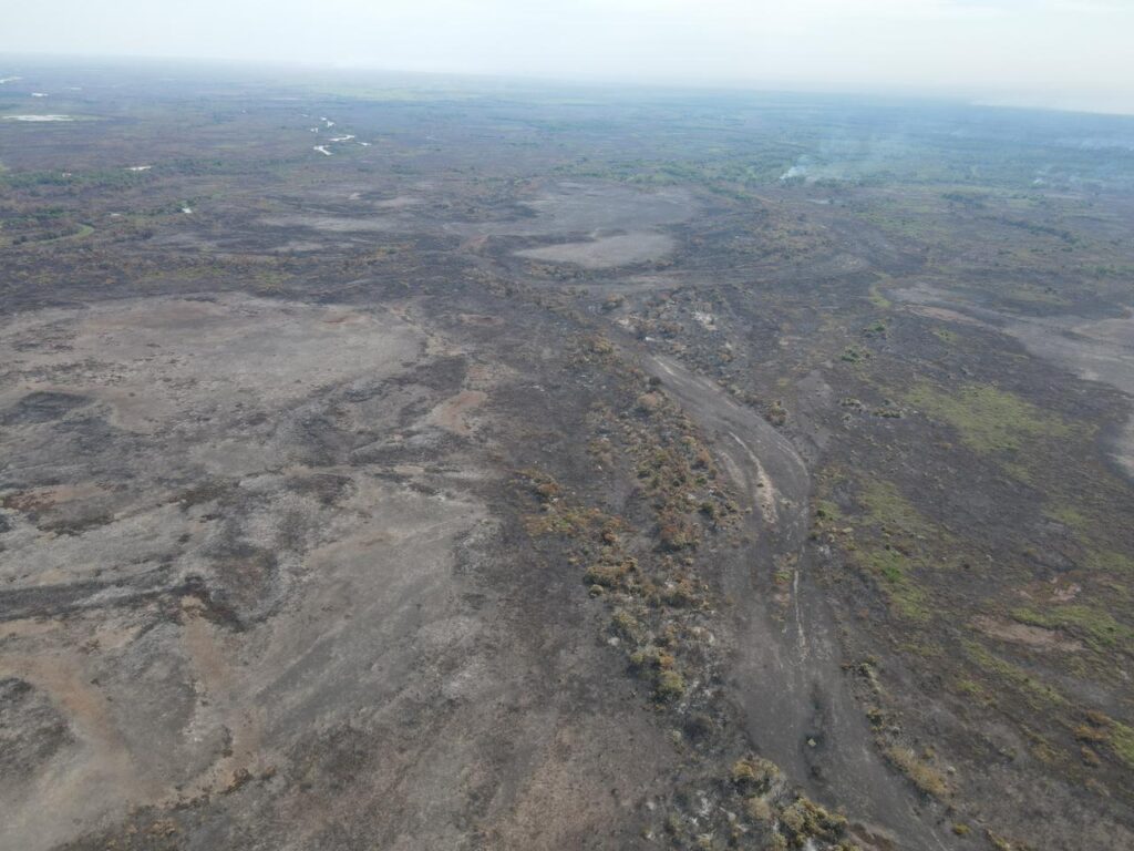 WhatsApp Image 2023-11-10 at 23.06.49 (1)