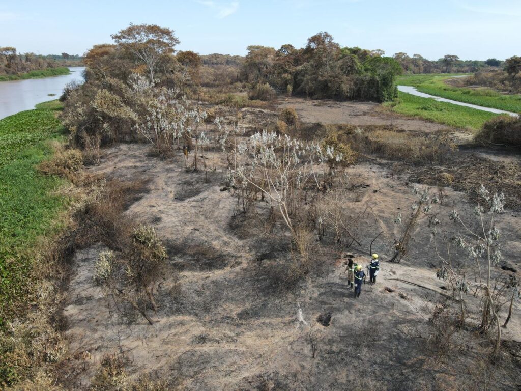 WhatsApp Image 2023-11-10 at 23.06.49