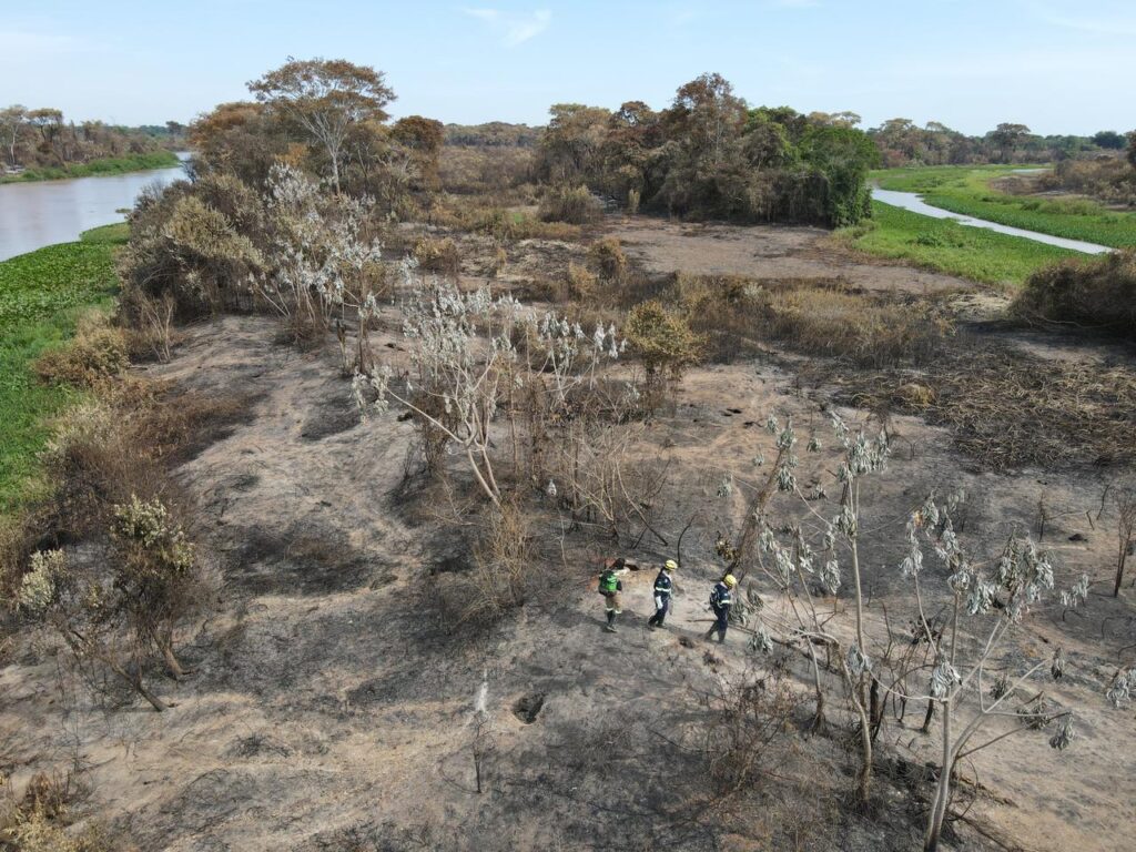 WhatsApp Image 2023-11-10 at 23.06.49 (4)