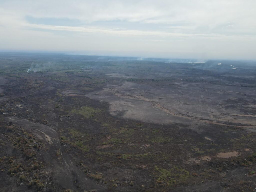 WhatsApp Image 2023-11-10 at 23.06.50 (3)