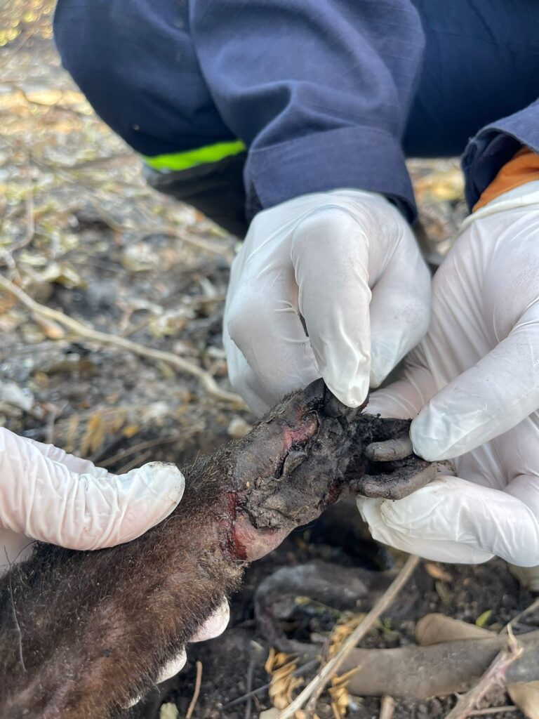 WhatsApp Image 2023-11-11 at 12.09.14