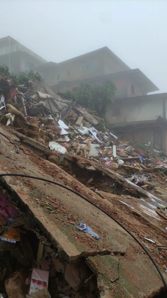 Petropolis_MAR2024_1