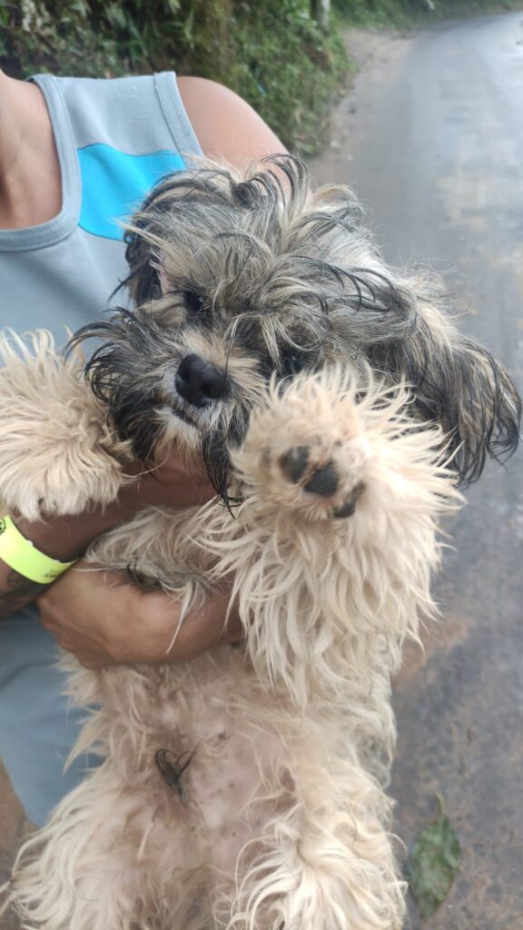 Petropolis_MAR2024_10