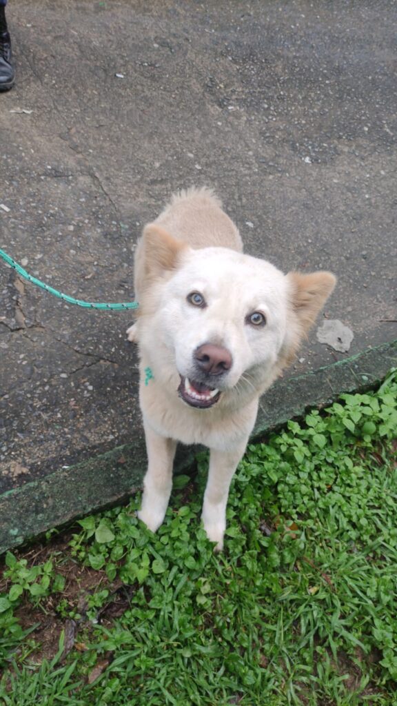 Petropolis_MAR2024_11