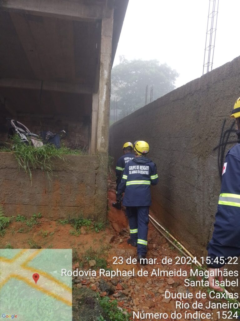 Petropolis_MAR2024_3