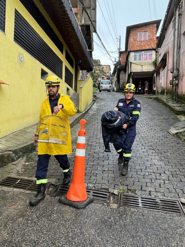 Petropolis_MAR2024_9