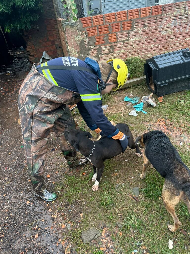 PHOTO-2024-05-02-17-17-12