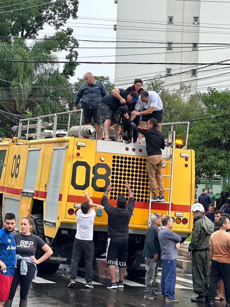 PHOTO-2024-05-04-11-26-21