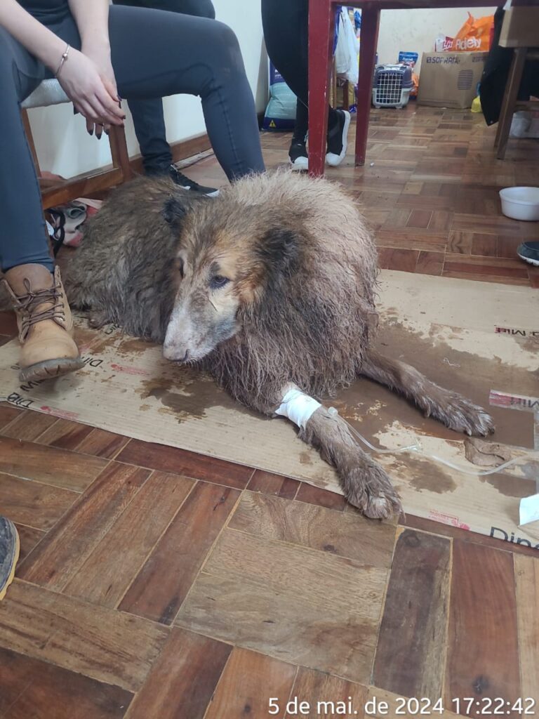 PHOTO-2024-05-05-17-47-24