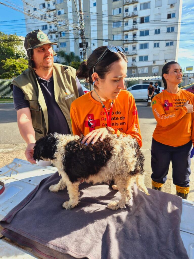 PHOTO-2024-05-09-22-19-47 2