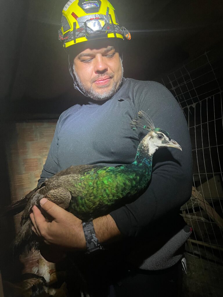 PHOTO-2024-05-09-23-33-44