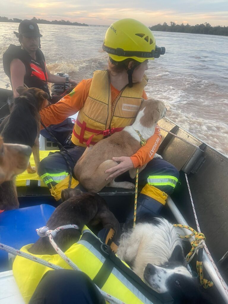 PHOTO-2024-05-09-23-40-08 2