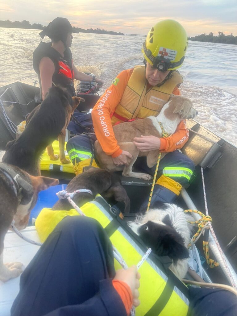 PHOTO-2024-05-09-23-40-08 3