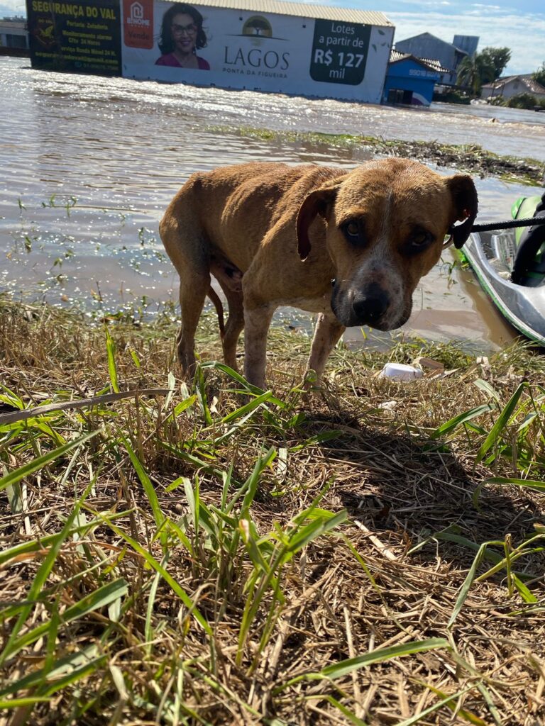 PHOTO-2024-05-09-23-40-42