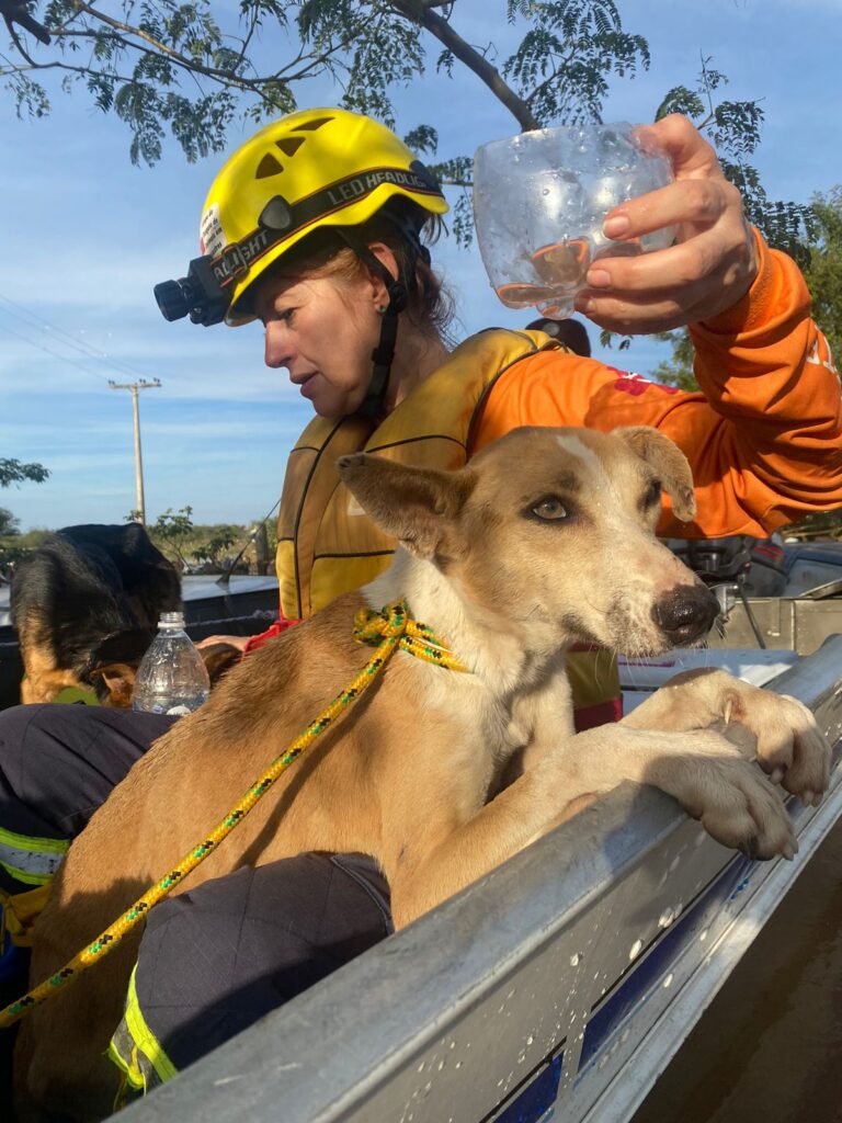 PHOTO-2024-05-09-23-40-55