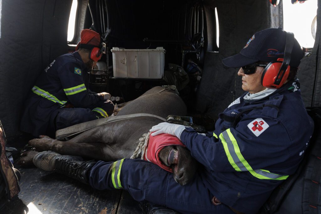 Web 15-08 Helicoptero-3513