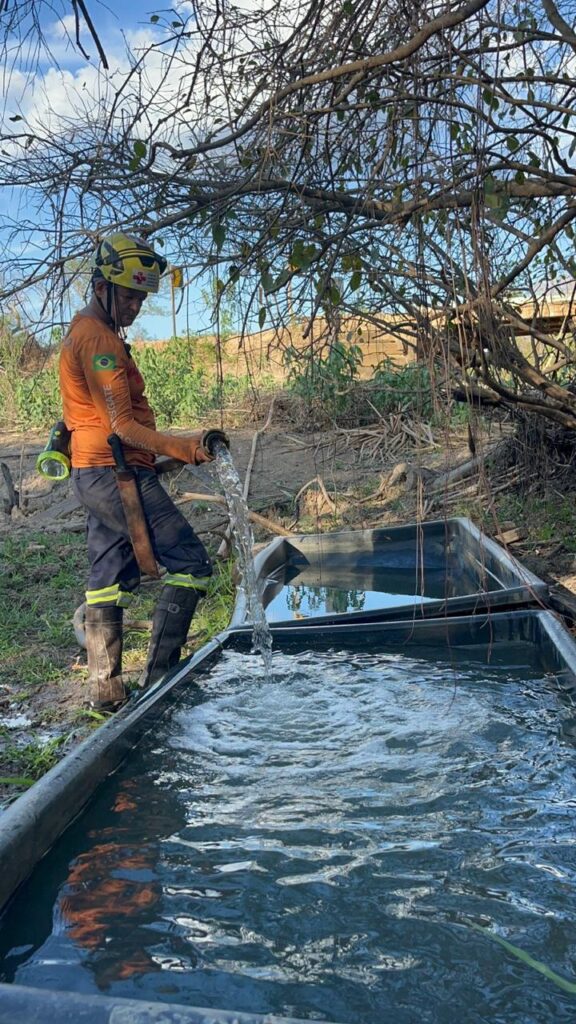 WhatsApp Image 2024-11-13 at 22.41.21 (1)