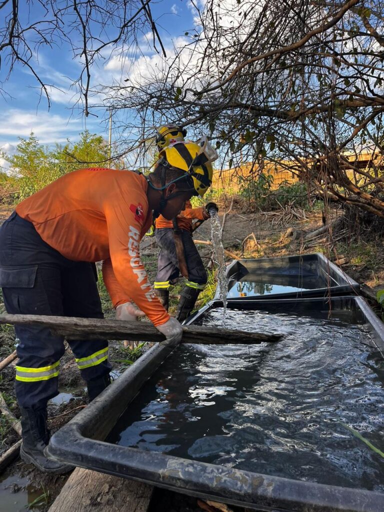 WhatsApp Image 2024-11-13 at 22.41.21