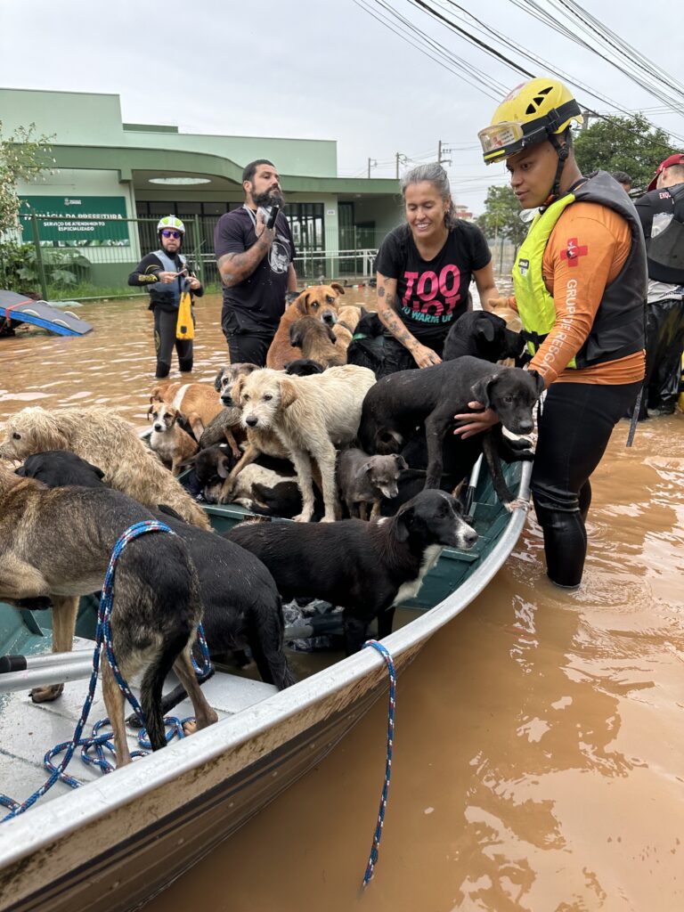 Resgate de animais durante a enchente no Rio Grande do Sul, com voluntários do GRAD atuando em área alagada para salvar vidas em meio à tragédia.