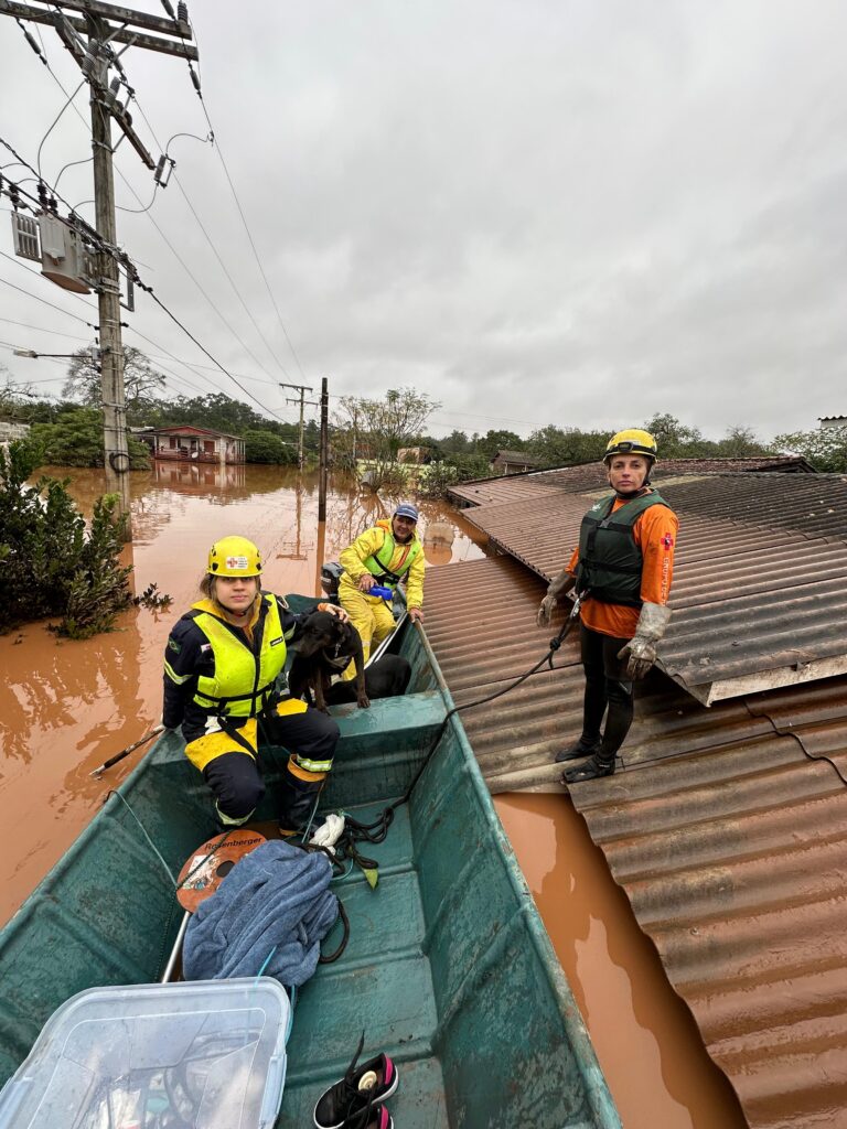 Equipe de resgate durante a enchente no Rio Grande do Sul salva animais e moradores em área completamente alagada, com casas submersas e uso de bote em operação emergencial.
